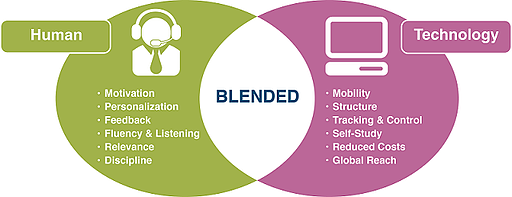 2_awardWinning_BlendedLearning_large6