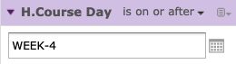 2. Date Filter