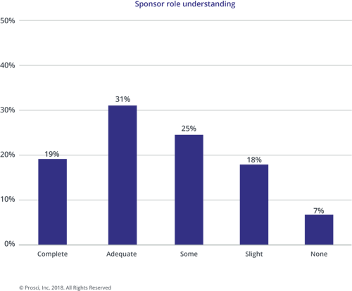 Blog Learning and Development - sponsor role understanding