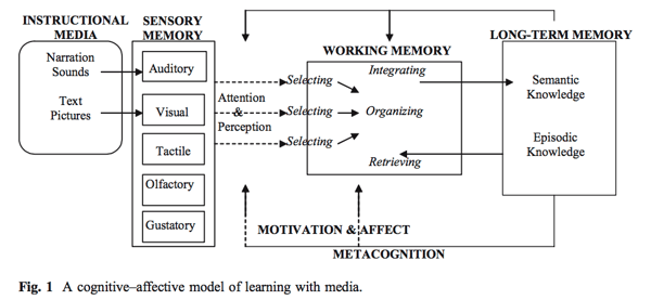 Blog elearning video content -  chart cognitive-affective model of learning with media