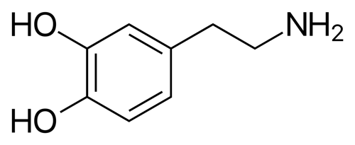 Blog gamification - molecular structure of dopamine