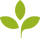 totara icon