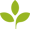 totara icon