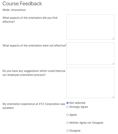 feedback activity