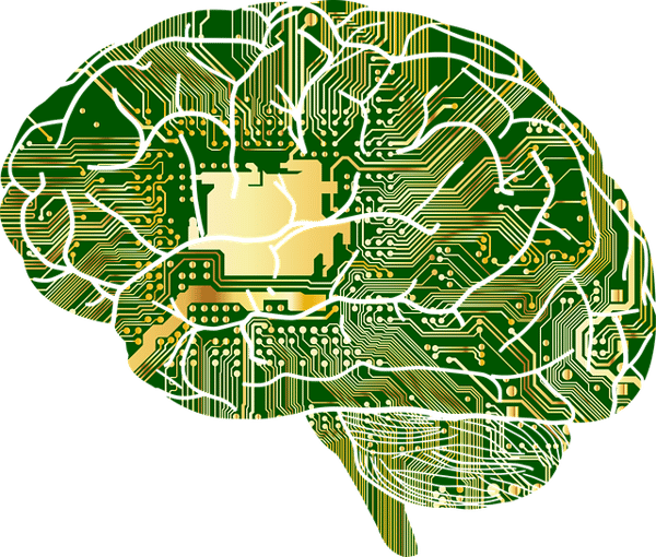 ai-brain-anatomy