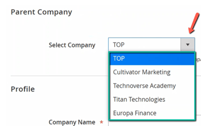 parentcompanydropdown