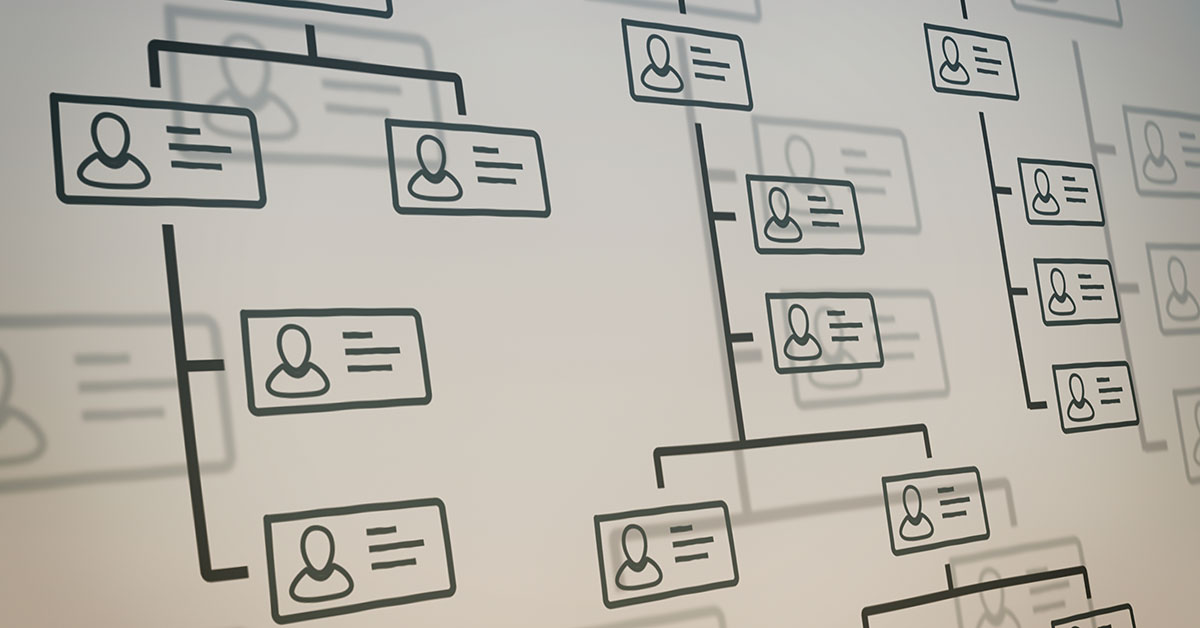 Totara Learn LMS Guide For Audiences and Hierarchy Features