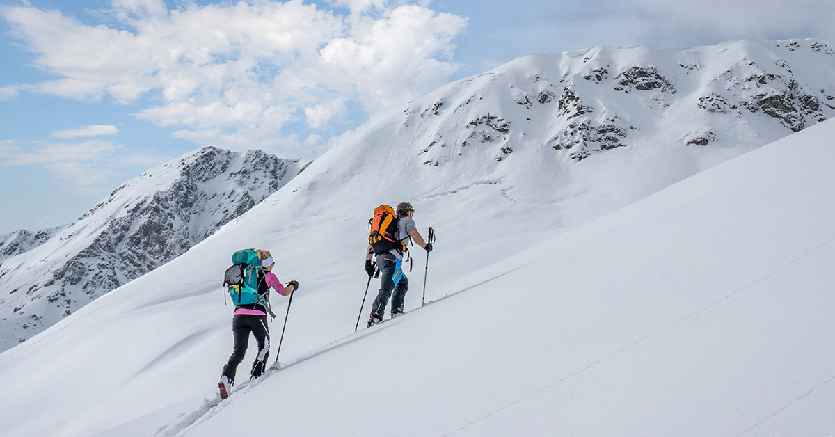 image thumbnail case study Canadian Avalanche Association with Lambda Solutions
